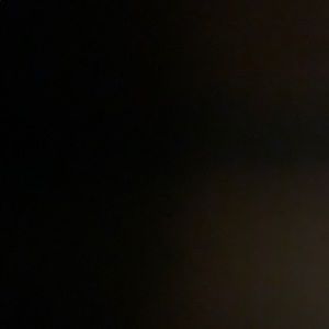 Meet your Posher, Brady